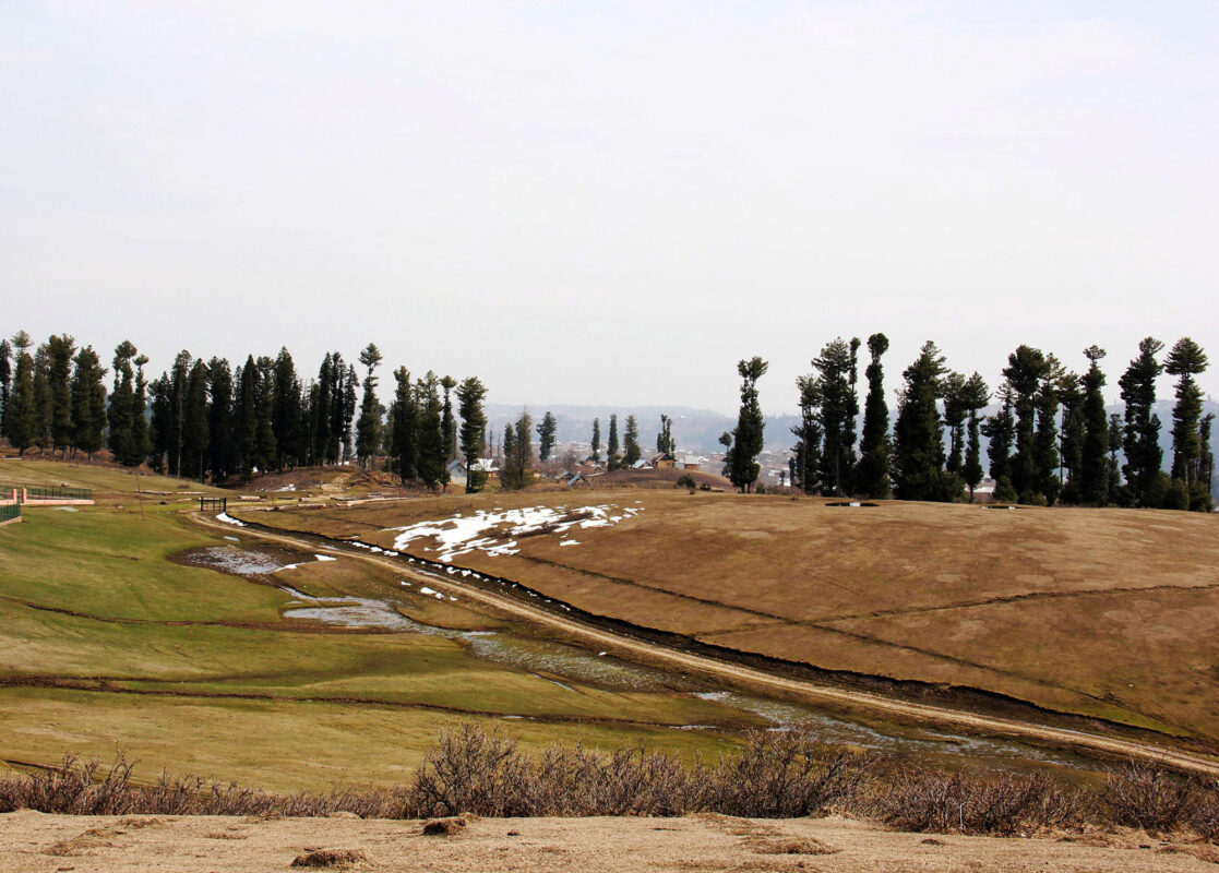 cochle -pathri (1)