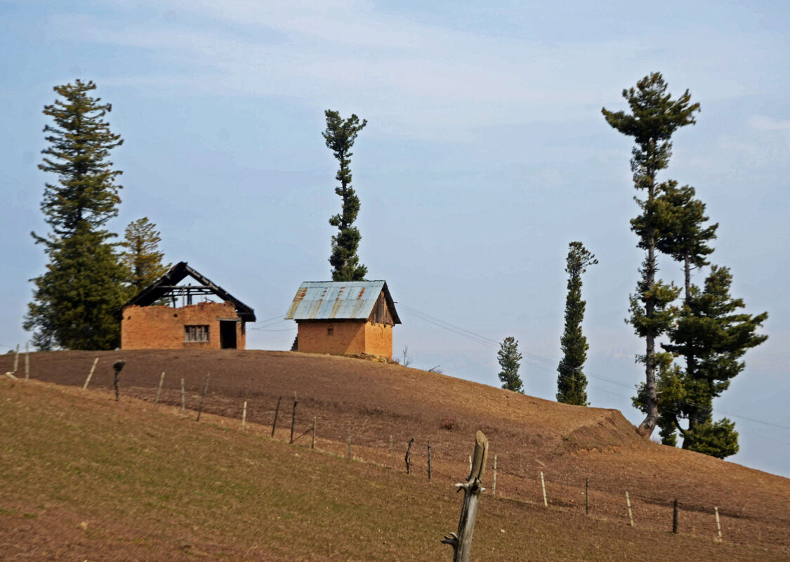 cochle -pathri (11)