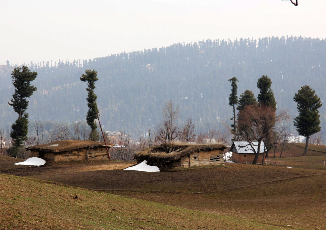cochle -pathri (12)