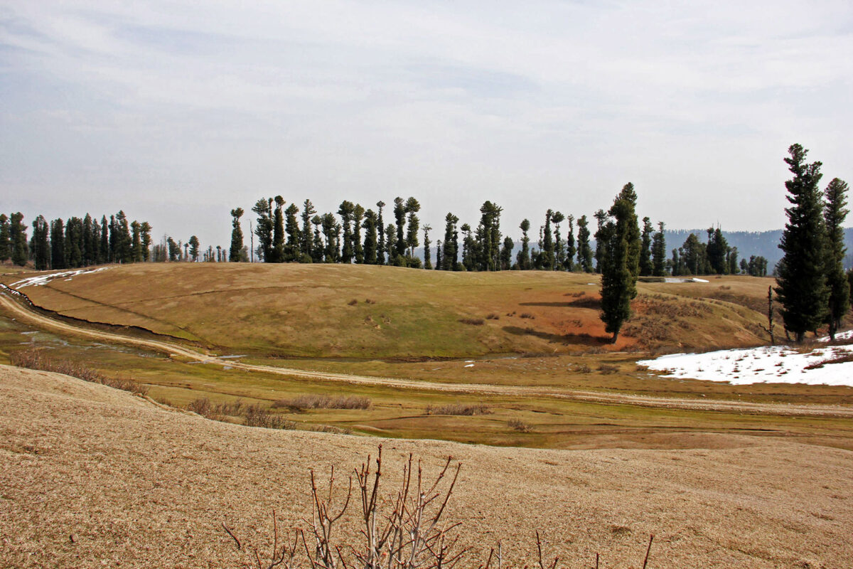 cochle -pathri (5)