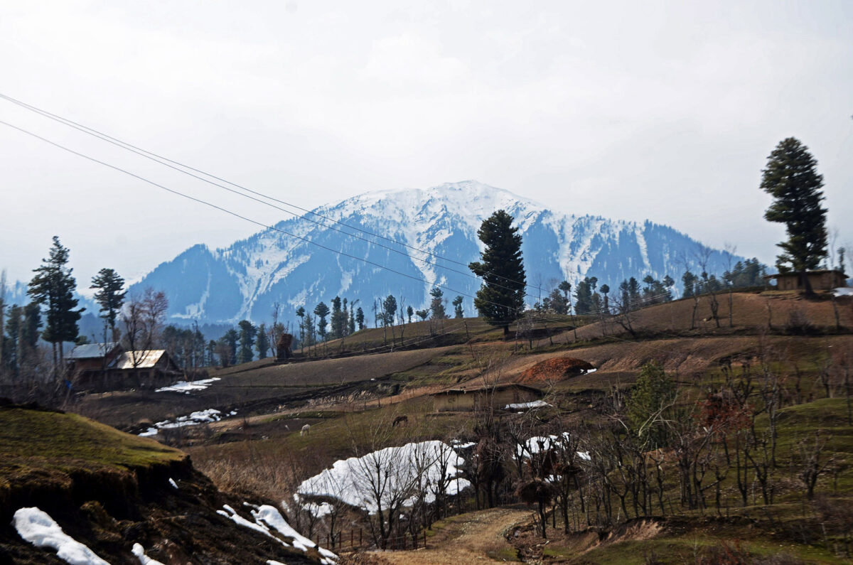 cochle -pathri (6)