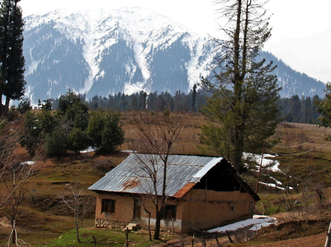 cochle -pathri (7)