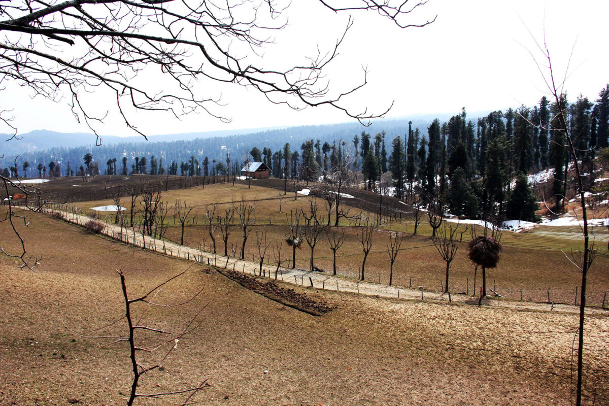 cochle -pathri (8)
