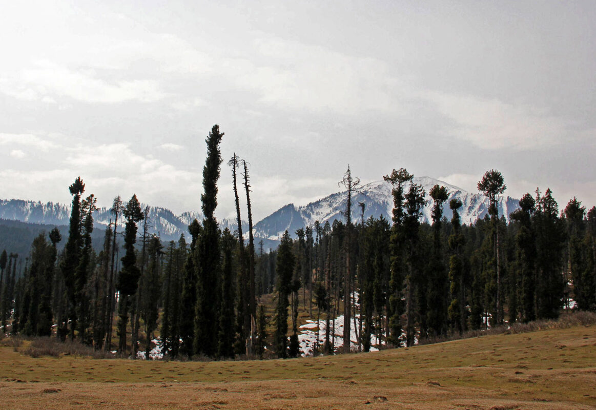 cochle -pathri (9)