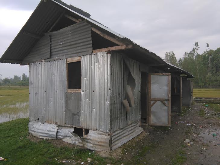 tin shed schooll