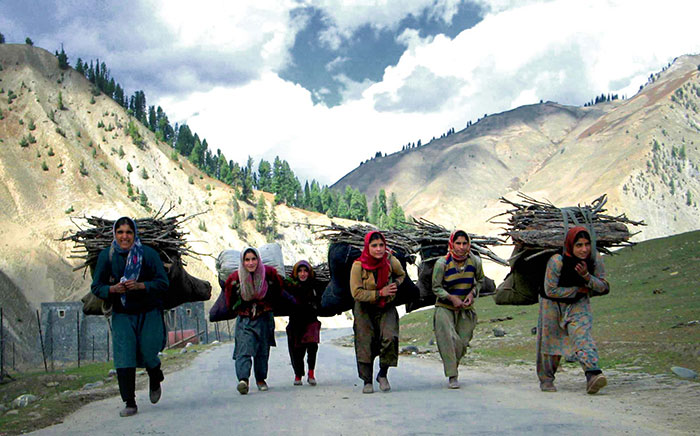 Gurez-Girls-with-loads-of-wood-on-their-back