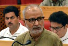 Govt to Review Security Scenario courtesy CRPF Killings