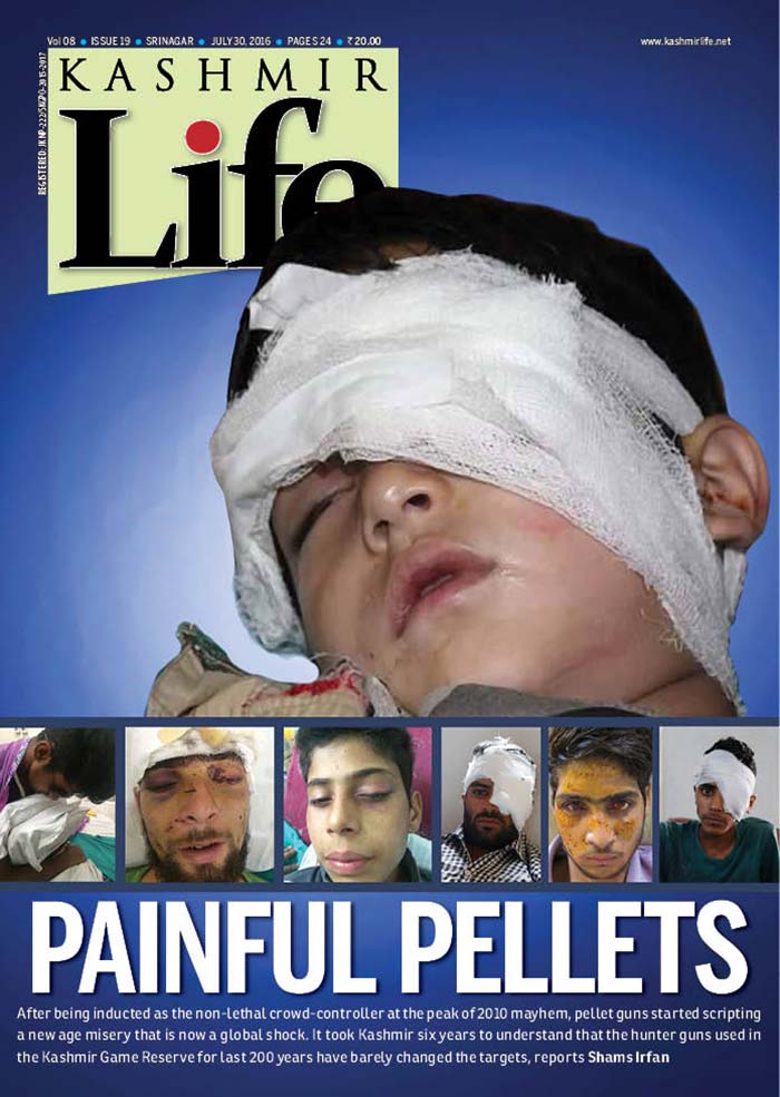 Pellets blind, kill!