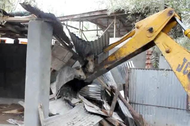 LAWDA demolition