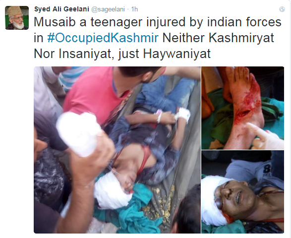 Syed Ali Geaalni tweet 3
