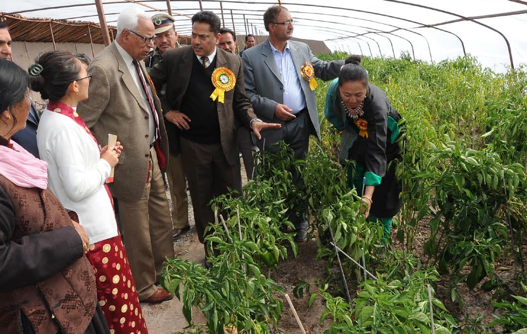 governor-vohra-in-leh-on-oct-22-2016