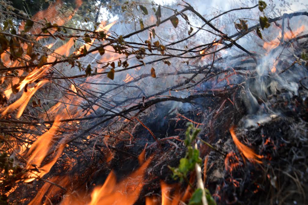 Fire engulfed Hamnadi forest range in Pahalgam on Oct 27, 2016. (KL Image: Shah Hilal)