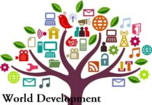 World Development Information Day