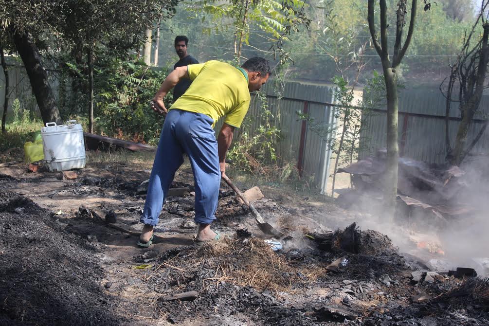 The shed which housed the packed apple boxes has been razed to ashes!