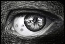 With an eye on conflict