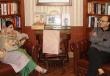 Barring BJP, All Parties Compromised Kashmir, Jaitely