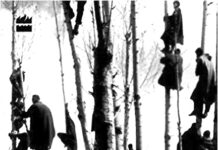 Scattered Souls – An Appraisal