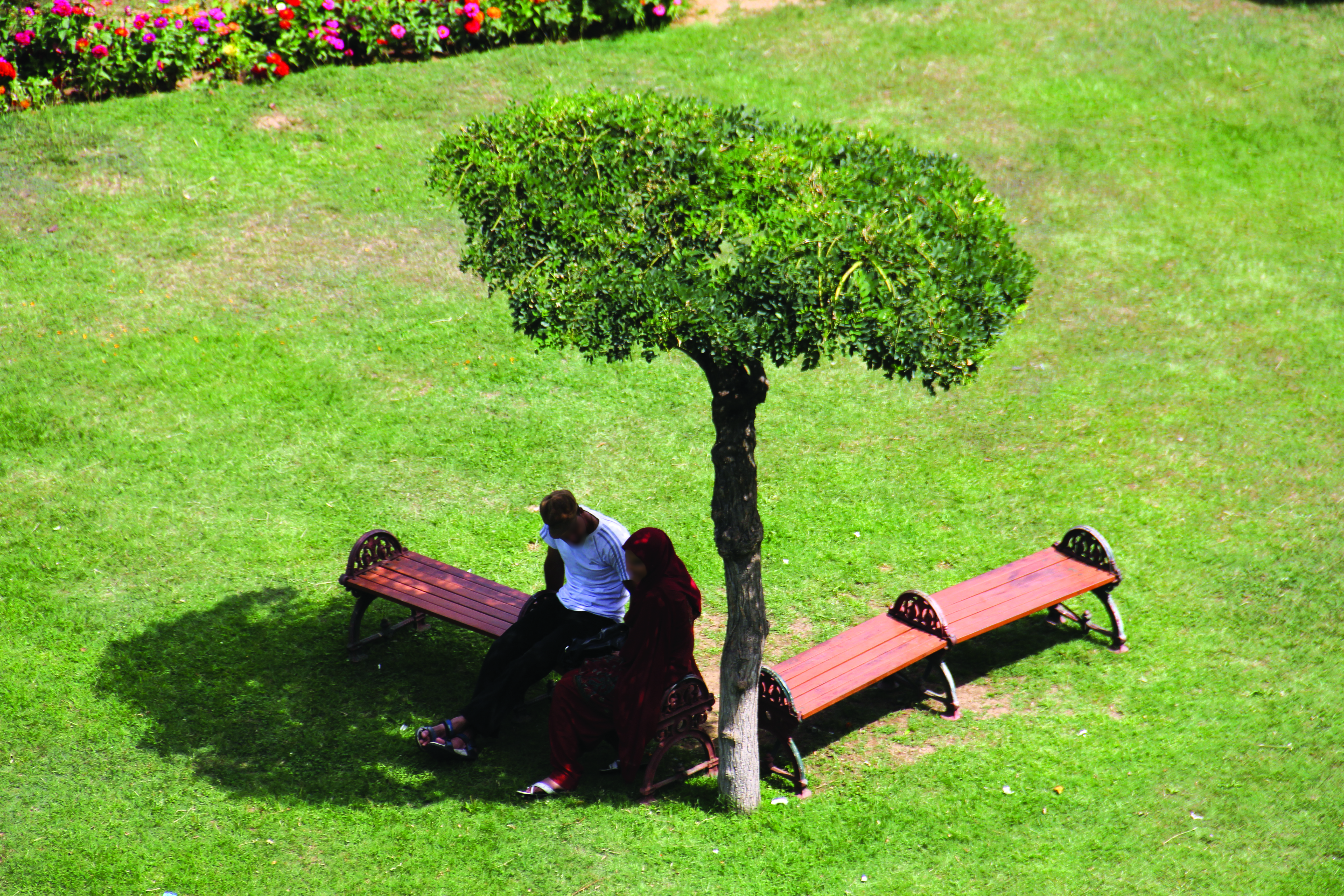 A couple in Srinagar garden (KL Image: Bilal Bahaduur)
