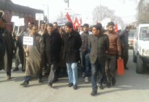 Chinar Trees ‘Felled’ in JK’s Anantnag, NC’s Bijbehara MLA Seeks Probe