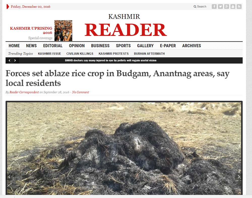 kashmir_reader_print_screen
