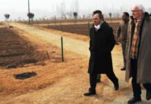 For Tulip Garden, J&K Govt hires expert from Holland
