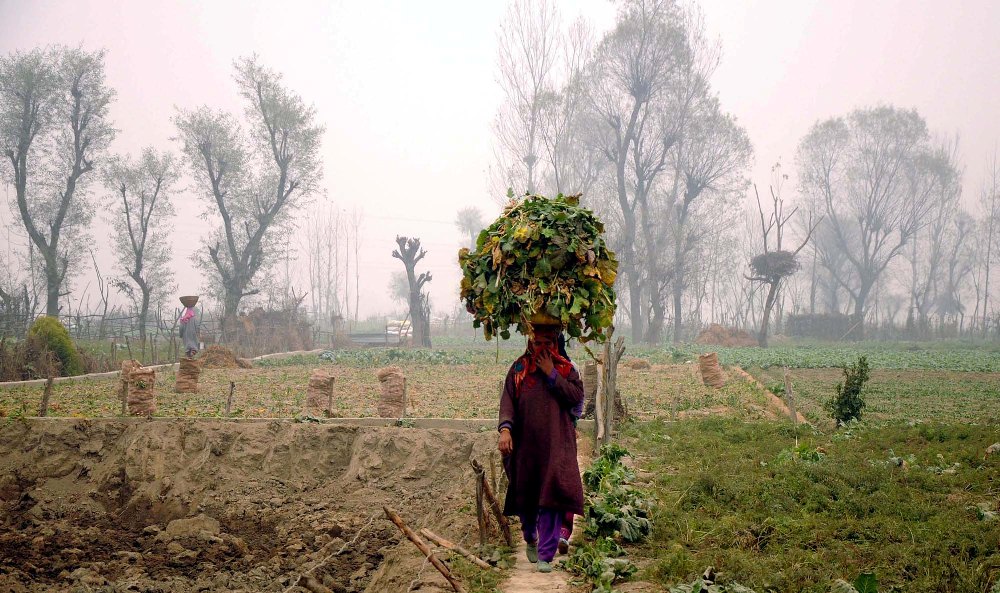winter-in-kashmir-3