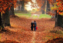 The Autumn Tears
