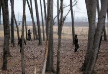 Encounter called off in Shopian, militants escape