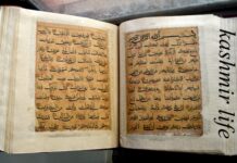 A Kashmir Rediscovery