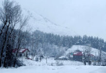 The white Valley; delicate snowflakes & the cloudy skies