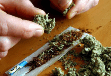Drug peddler arrested in Islamabad