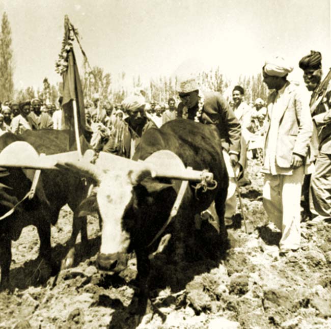 A November 1949 photograph showing Sheikh Mohammad Abdullah, Prime Minister of J&K, ploughing in a field as part of his ‘Grow More Food programme’.