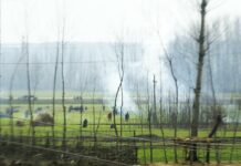 Pulwama encounter: Another civilian succumbs, scores injured