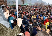 Give me peace, will give you jobs: Mehbooba