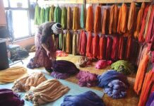 Life in Colours