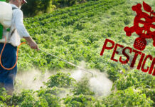 Misbranded pesticides worth Rs 1 Cr seized in Kashmir in past 2 months