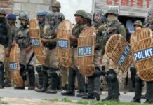 Stone pelting in Kashmir has reduced by half: DG CRPF
