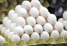FSD Raids Srinagar Markets Over Alleged Adulterated Eggs