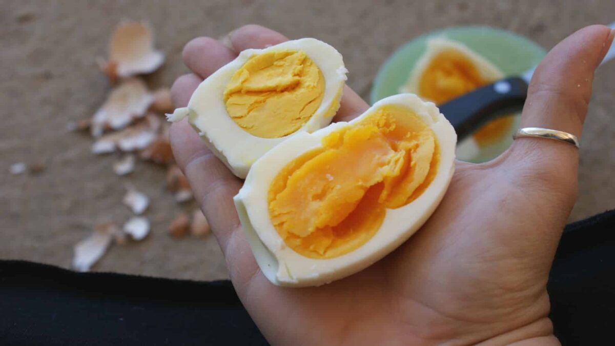 egg