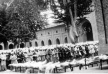 1931, The Pellet Start