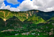 Organised gangs looting forests in Bhaderwah, locals allege