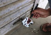 Illegal Dental Clinic Sealed at Chadoora, SDSJK welcomes