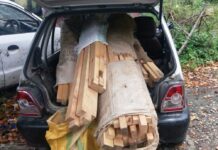 Kashmir: 324 Timber Smugglers Booked, 149 FIRs Lodged in 2025