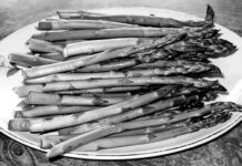Revive Asparagus