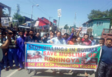 #Rohingya persecution: Youths take out protest rallies in Kulgam, Pulwama