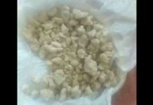 One person arrested with Heroine in Doda