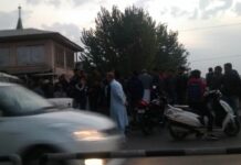 Jhelum fishes commit mass suicide, float to shores