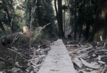 Jammu and Kashmir: Two forest officials suspended in Bhaderwah for deriliction of duty