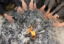 Chill grips Kashmir as mercury dips further
