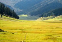 J&K Administration Transfers 24,000 Kanals Land To I&C Department